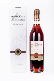 Daniel Bouju Napol&eacute;on